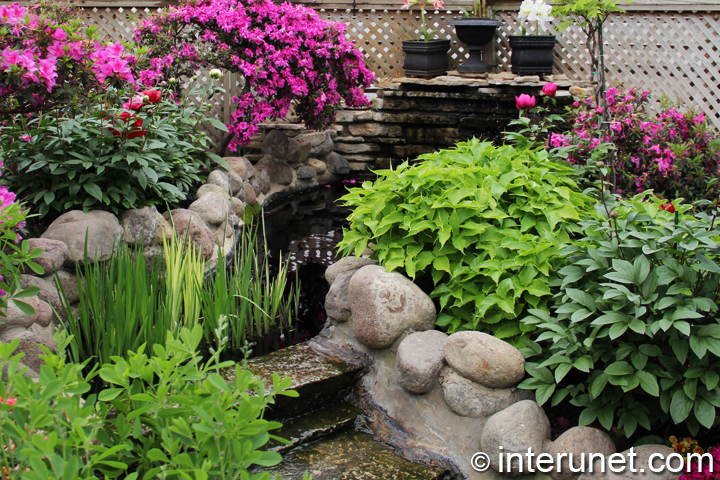 amazing-landscaping
