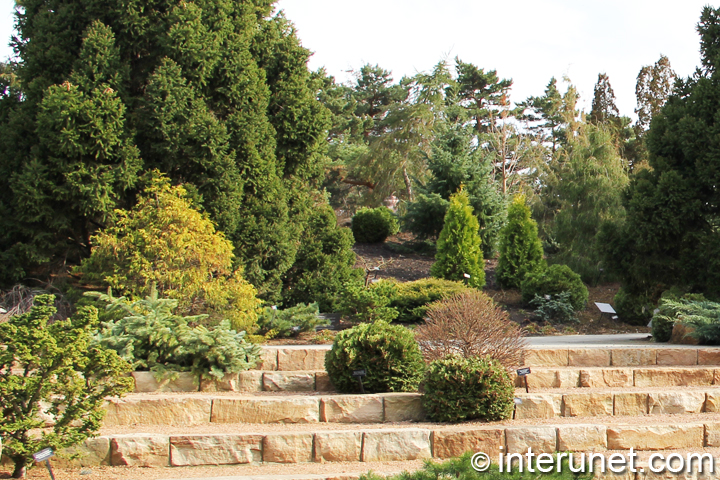 beautiful-landscaping-in-Chicago-botanic-garden