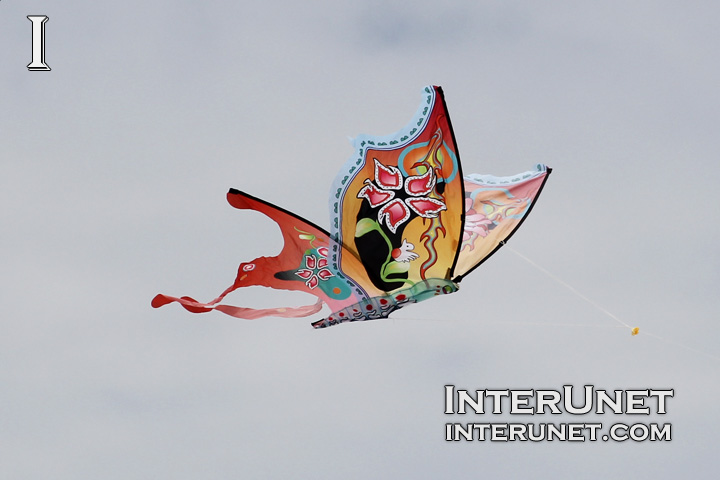 butterfly-kite