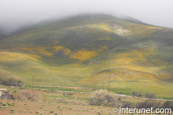 mountain-in-the-fog 