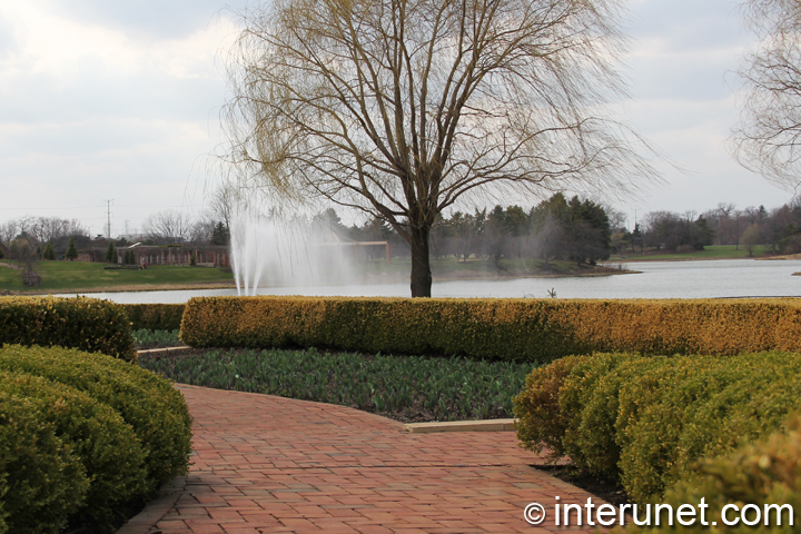 spring-in-Chicago-botanic-garden