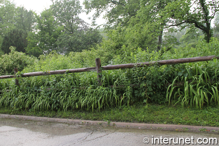split rail fence split-rail-fence