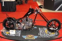 Rigid Chopper custom