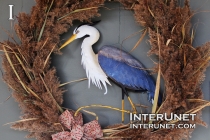 amazing-bird-sculpture