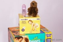 baby items diapers-wipes-baby-bottle-toy
