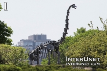 dinosaur-skeleton-Field-Museum-Chicago 