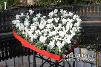 flowers-in-the-shape-of-heart
