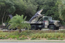 huge-alligator-on-the-truck