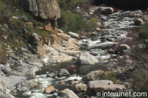 mountain-stream