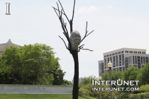 rock-on-the-tree