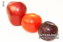 Fruits Vegetables fruits-vegetables