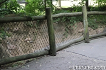 older-logs-fence-on-bridge-sides