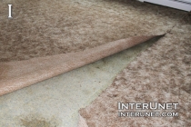 Carpet Removal replacing-old-carpet