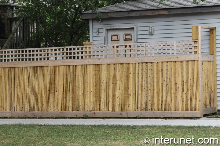 bamboo-fence