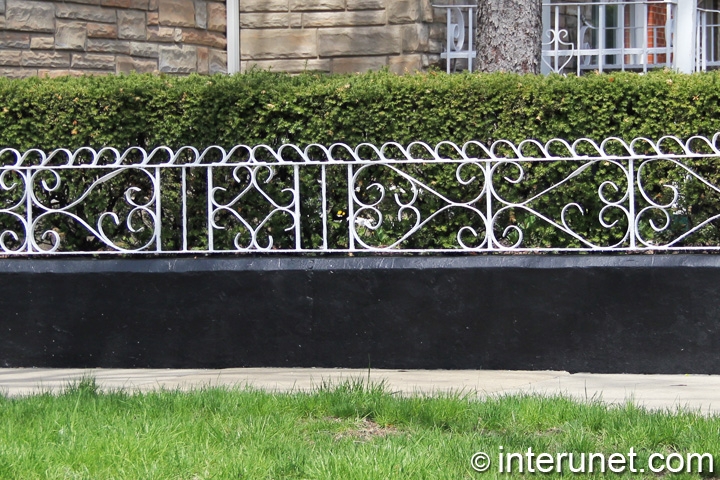 custom-made-fence-in-combination-with-hedge