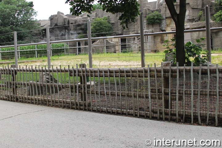 double-fence-electric-wood