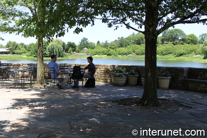 having lunch outside having-lunch-outside