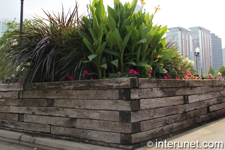 lumber fence with green plants