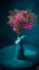 Nimmi's picture