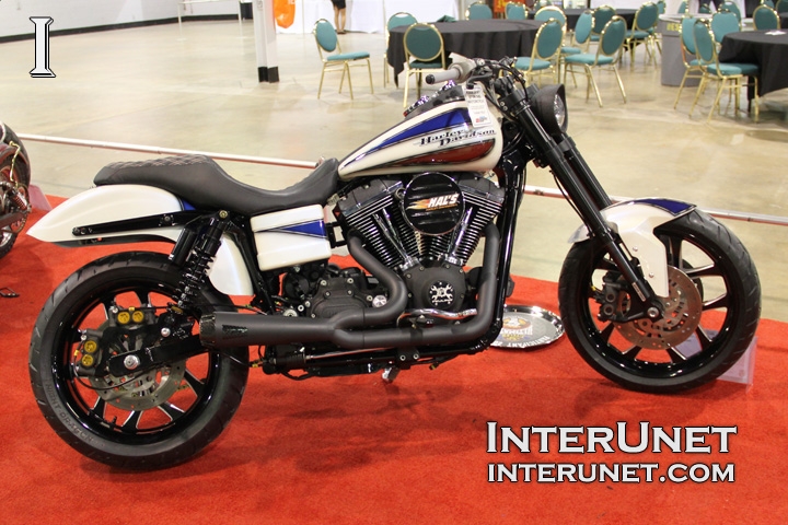 2006 Harley-Davidson FXDL 2006-Harley-Davidson-FXDL-Dyna-Low-Rider-custom