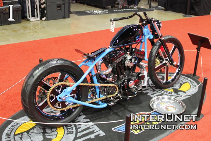 Harley-Davidson custom-Harley-Davidson-Rigid-Sportster