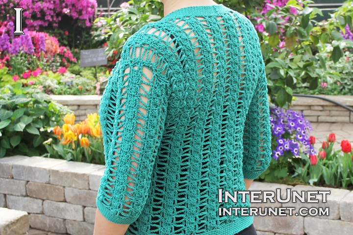 Lace Top short-sleeve-cardigan-crochet