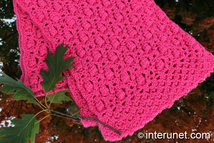 crochet-acorn-raspberry-stitch-combination