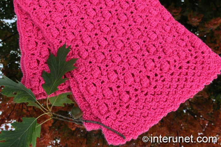 crochet-acorn-raspberry-stitch-combination