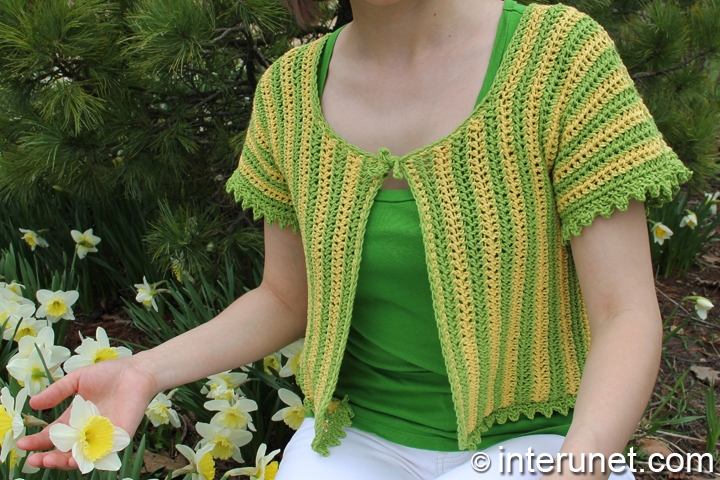 women’s-short-sleeve-summer-top-crochet-pattern