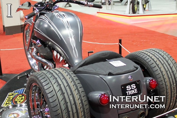 Custom Trike trike-custom-built