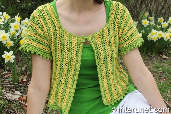 short sleeve summer top short-sleeve-summer-top-crochet-pattern