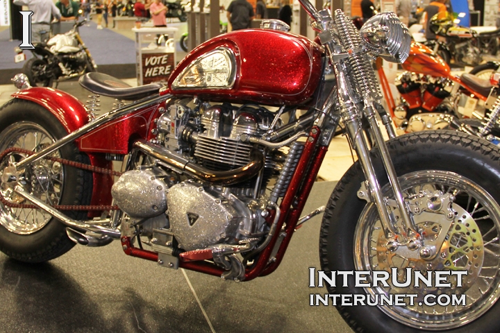 Custom Bike custom-Triumph-Bonneville