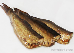 fish-in-oil