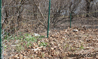 simplest-temporary-wire-fence